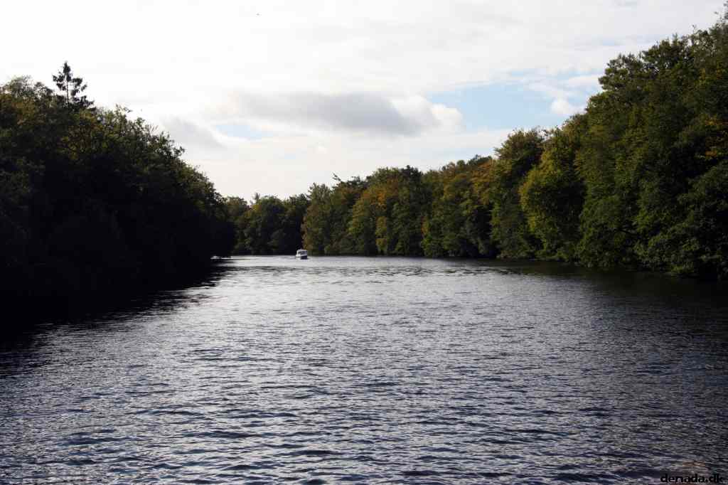 * Image 25