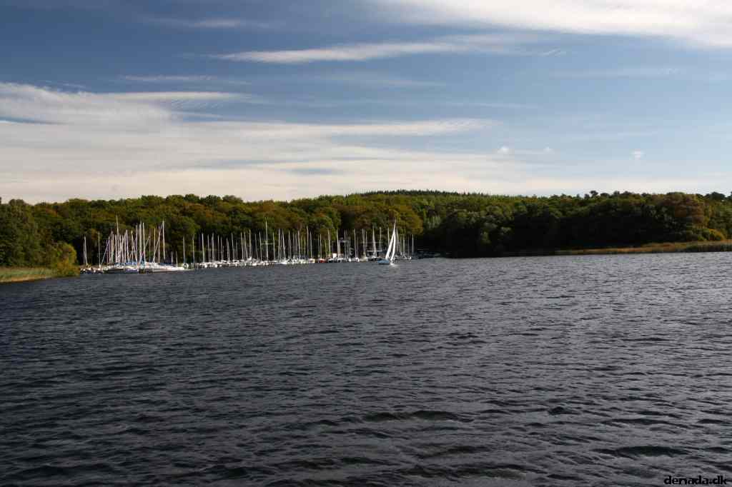 * Image 32