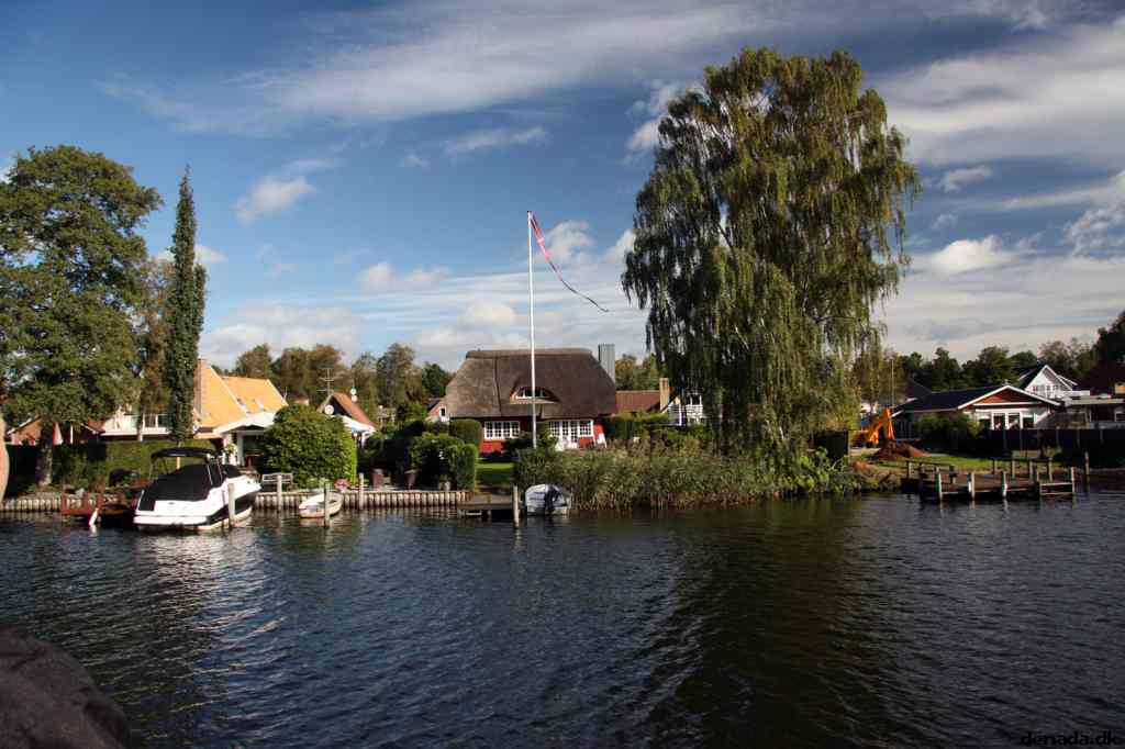 * Image 41