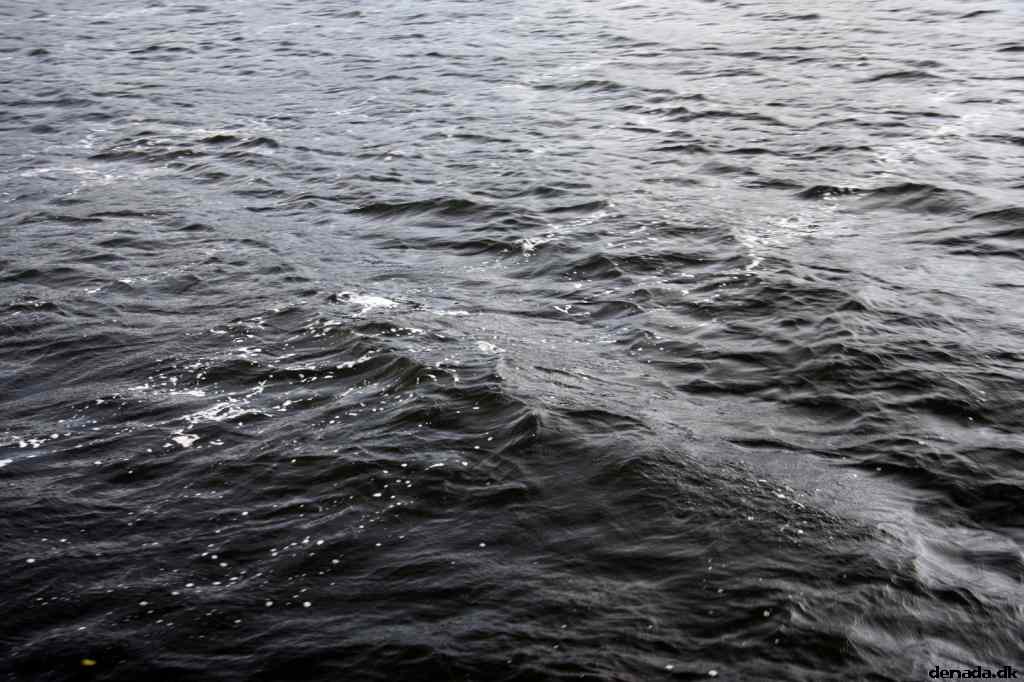 * Image 49