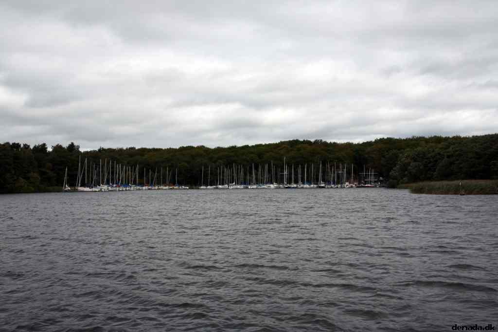 * Image 96