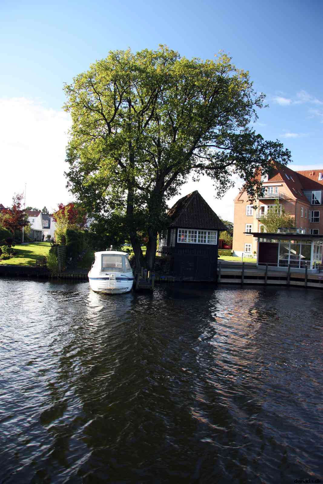 * Image 22