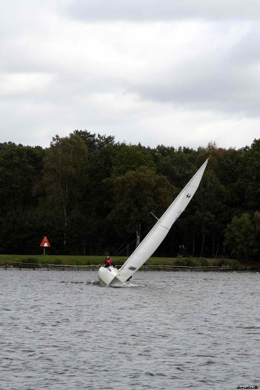 * Image 91