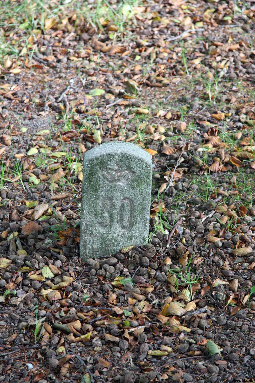 * Image 137