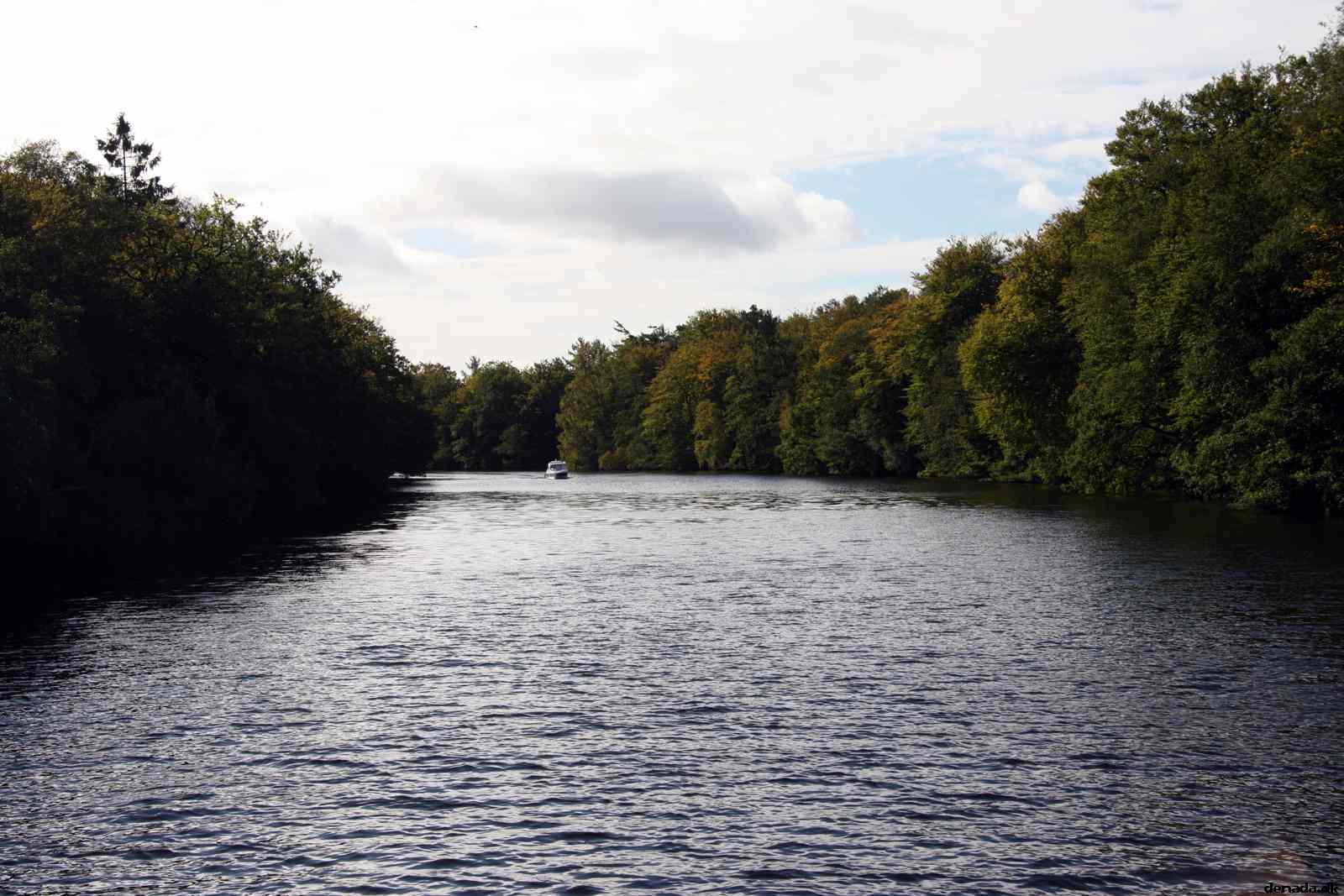 * Image 25