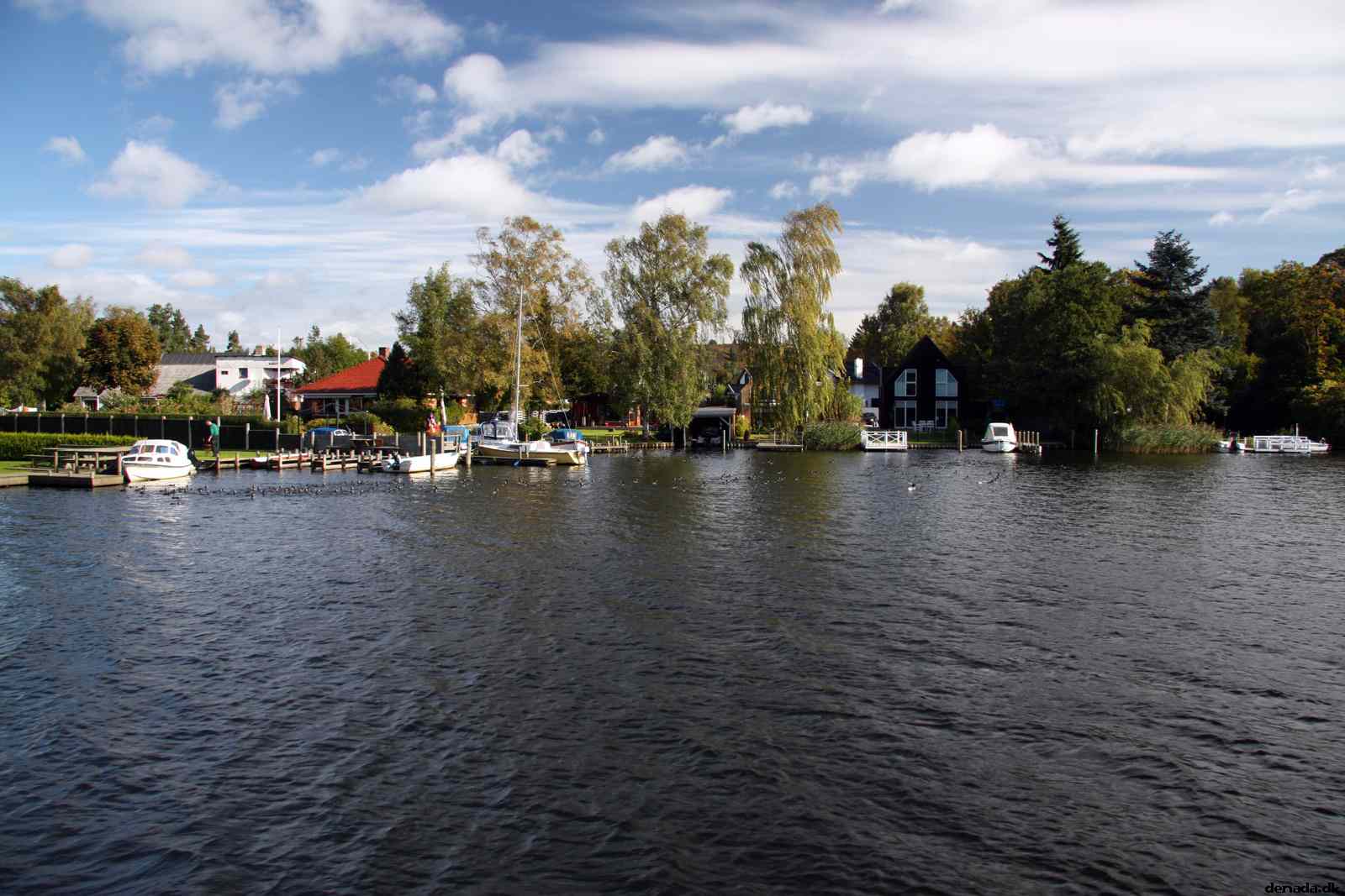 * Image 39
