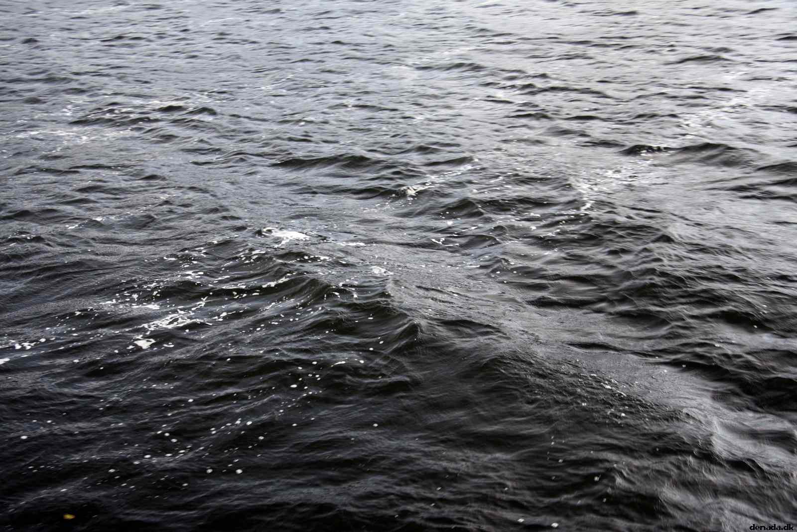 * Image 49