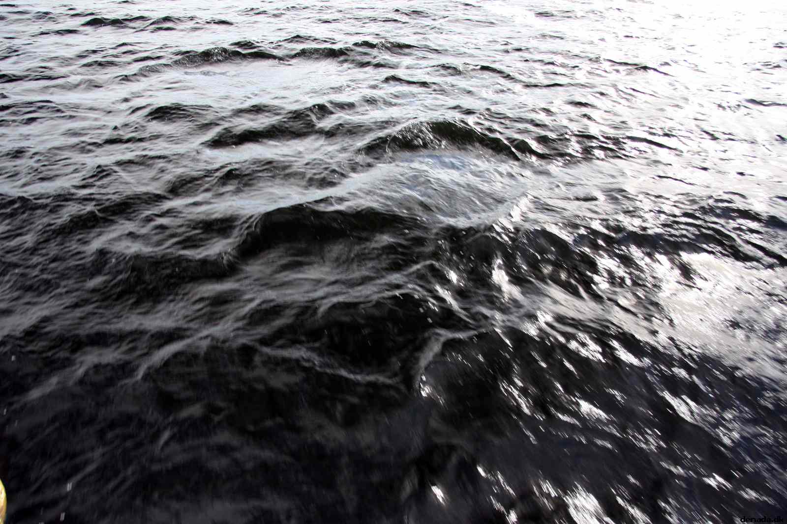 * Image 50