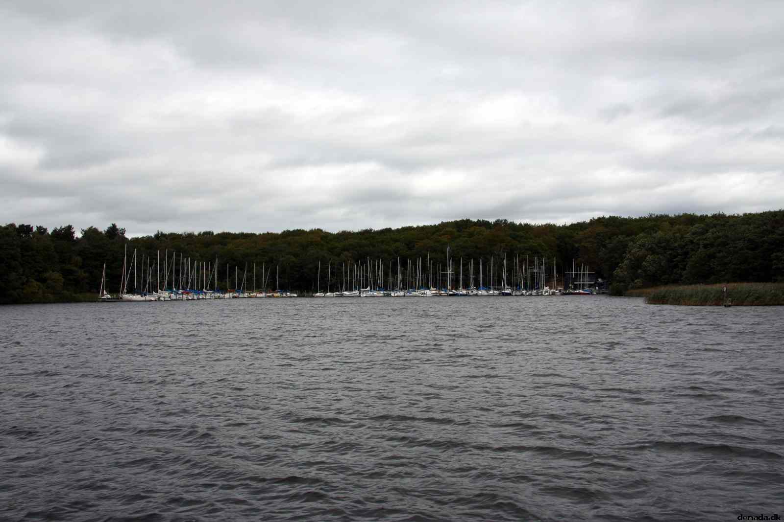 * Image 96