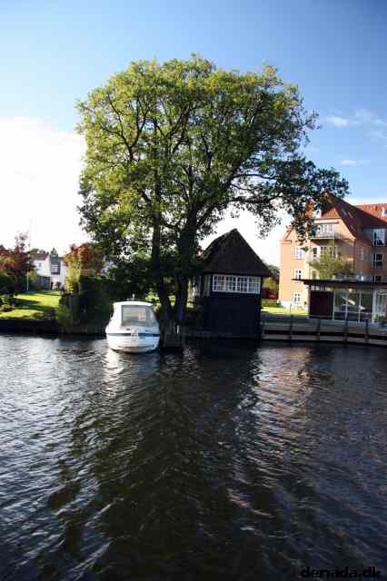 * Image 22