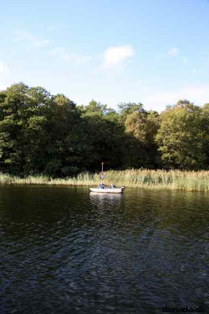 * Image 43
