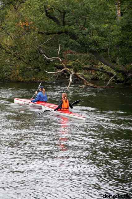 * Image 102