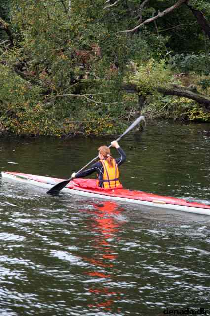 * Image 103