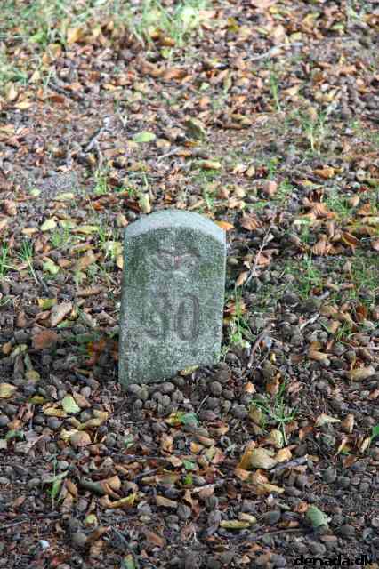 * Image 137