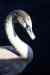 201009190004m.jpg - 2010:09:19 10:12:44