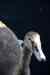 201009190006m.jpg - 2010:09:19 10:12:48