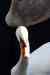 201009190007m.jpg - 2010:09:19 10:12:51