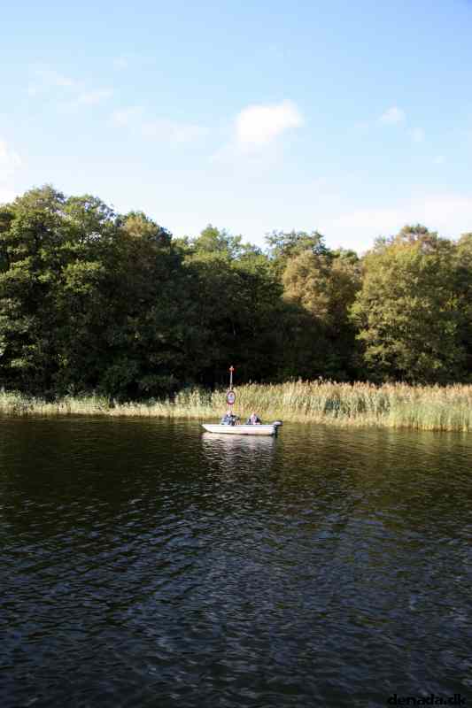 * Image 43