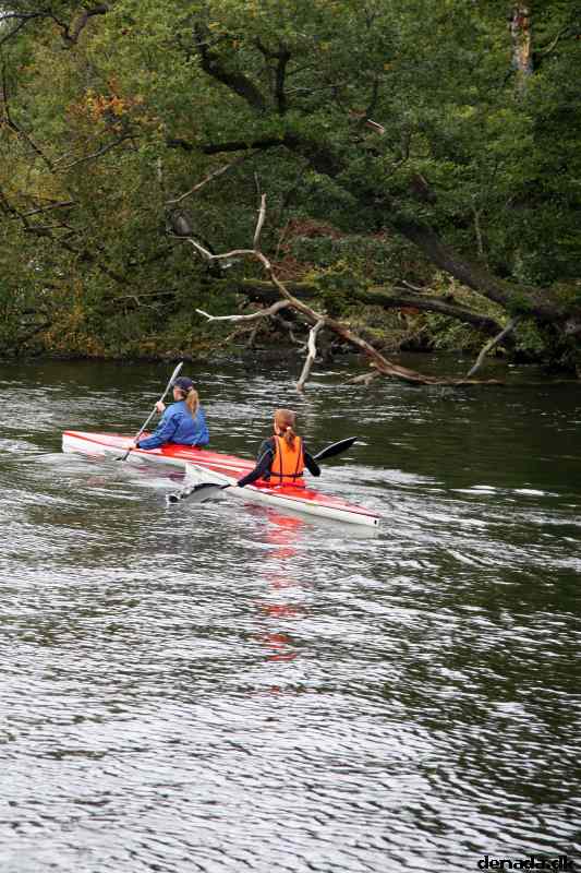 * Image 102