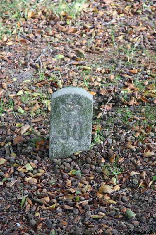 * Image 137