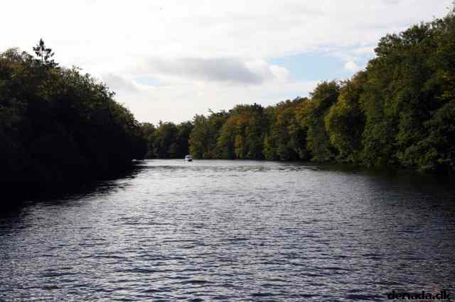 * Image 25
