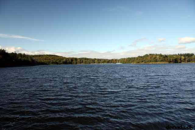 * Image 28