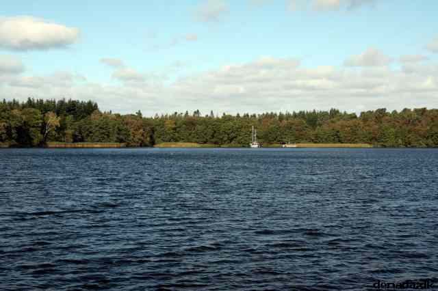* Image 29