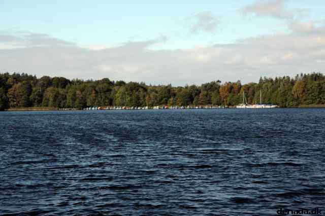 * Image 30