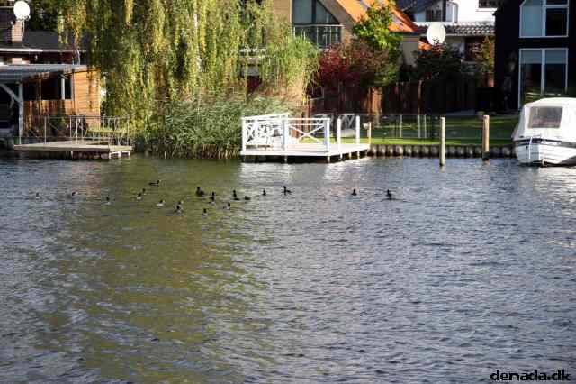 * Image 40