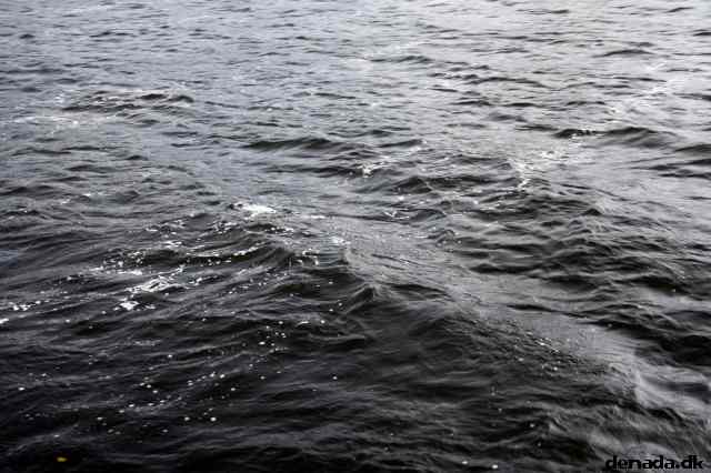 * Image 49