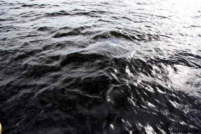 * Image 50