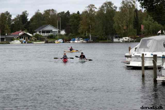 * Image 82