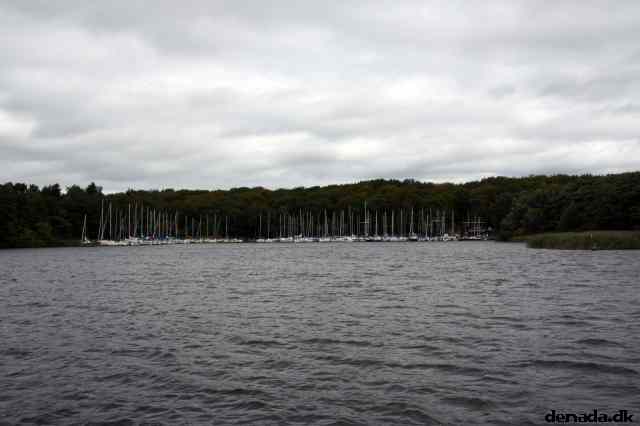 * Image 96