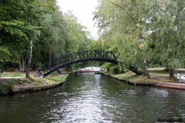 * Image 110