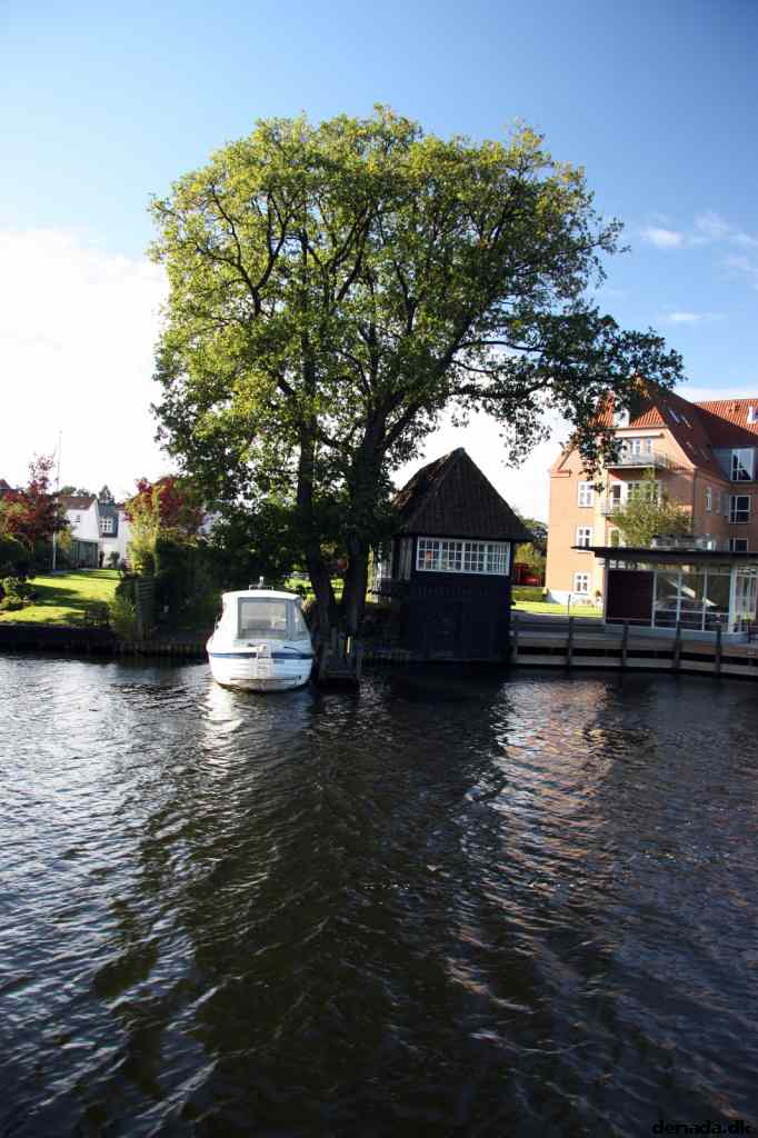 * Image 22