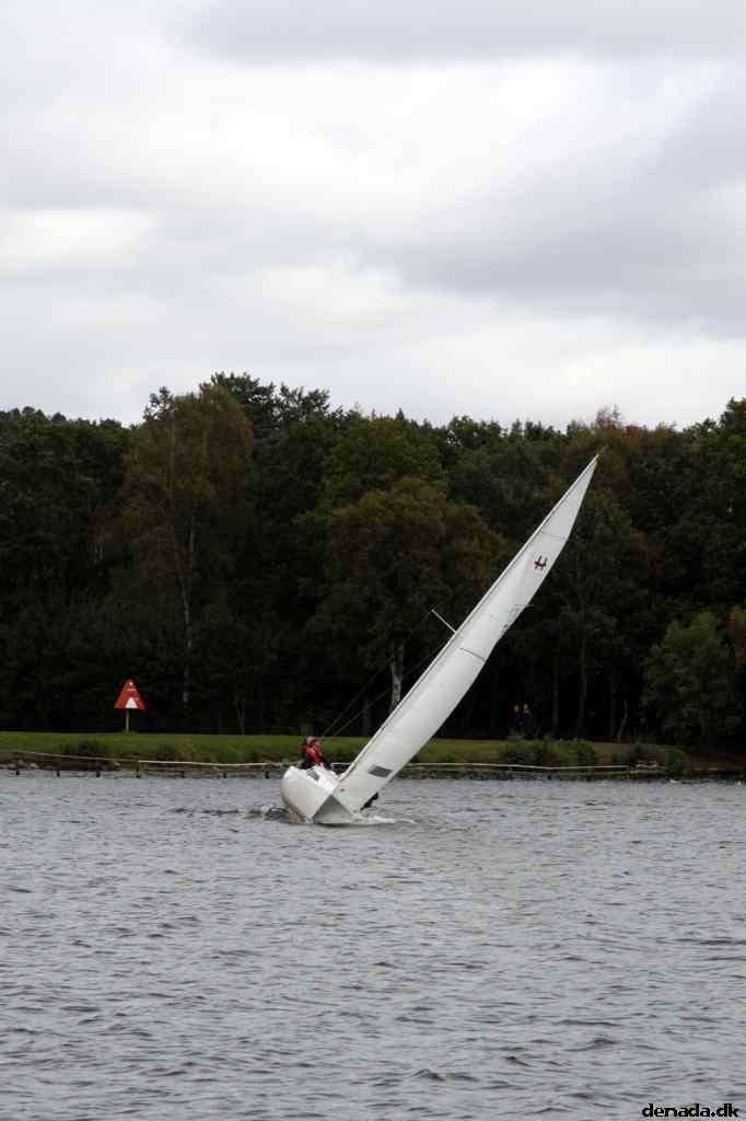* Image 91