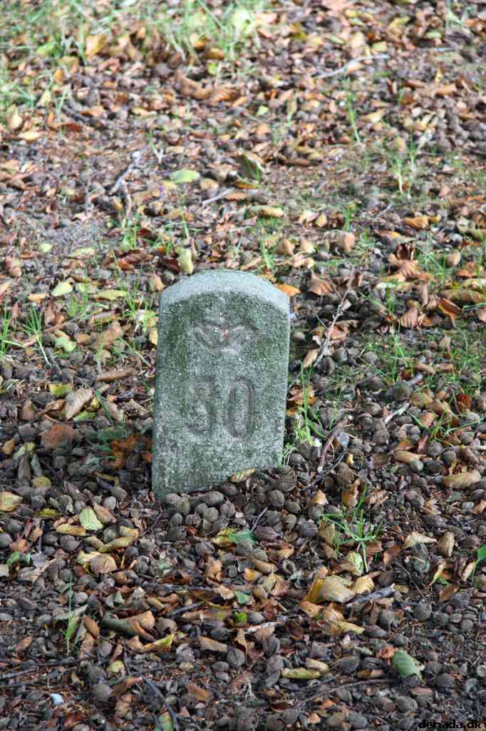 * Image 137