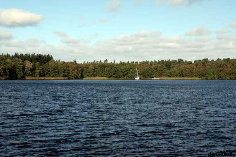 * Image 29