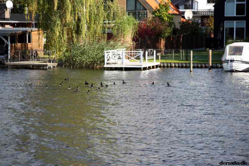 * Image 40