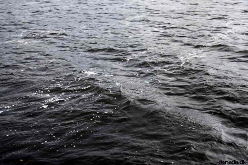 * Image 49
