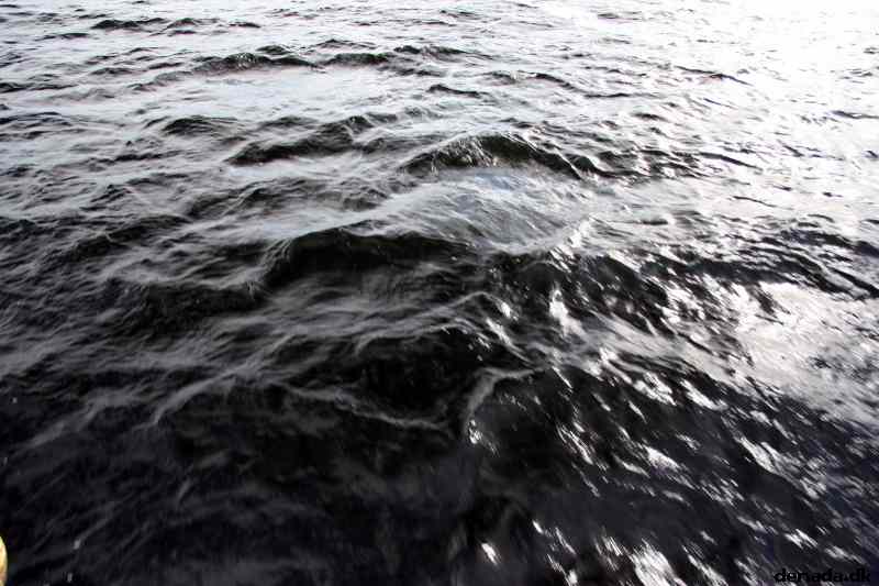 * Image 50