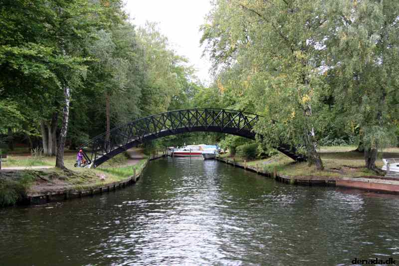 * Image 110