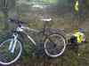 DSC00469m.jpg - 2010:11:15 15:08:34