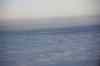 20110123_083949.jpg - 2011:01:23 08:39:49