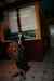 20110123_231533.jpg - 2011:01:23 23:15:33