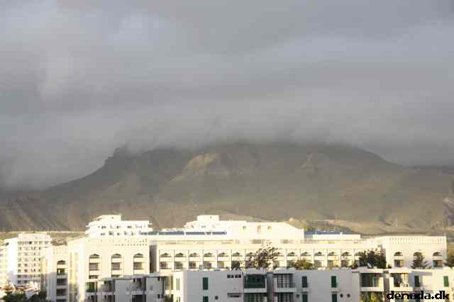 * Image 31