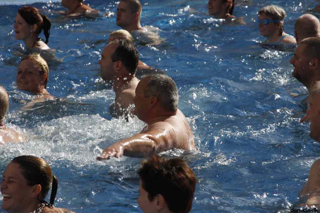 * Image 51
