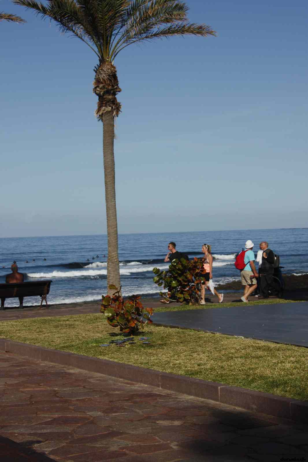 * Image 11