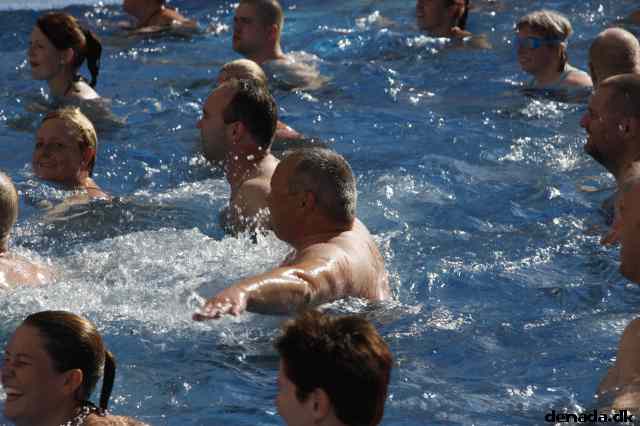 * Image 51