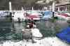 20110129_173706.jpg - 2011:01:29 17:37:06